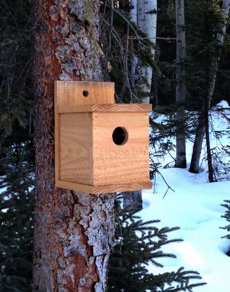как да направите къщичка за птици от дърво