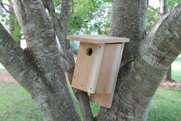 как да направите къща за птици със собствените си ръце от дърво