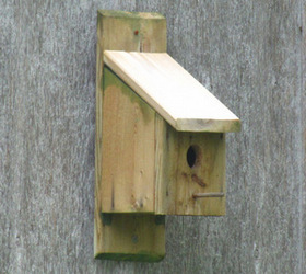 монтаж на къщички за птици