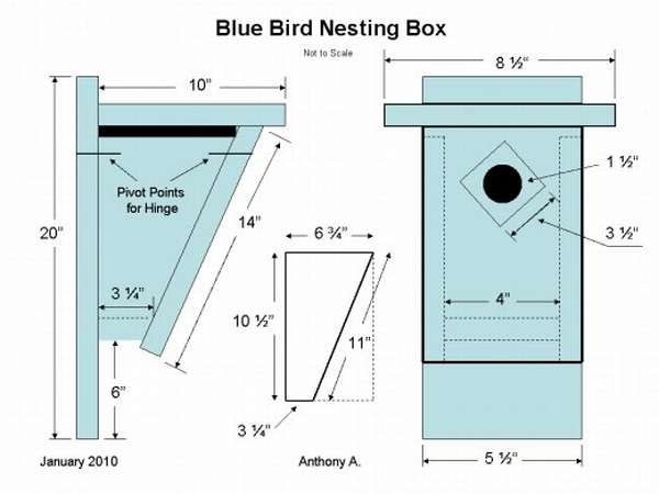 идея за рисуване на къщички за птици