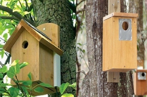 идеи за къщички за птици